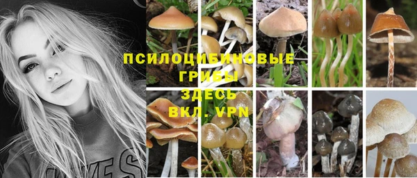герыч Зеленокумск