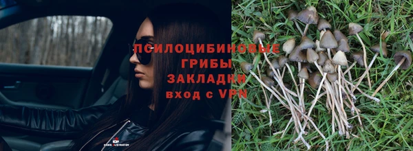 твердый Зерноград