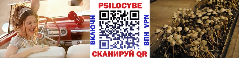 Псилоцибиновые грибы Psilocybine cubensis  Купить закладки  Калач 
